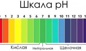 Вишня: описание 20 лучших сортов, характеристики и отзывы садоводов