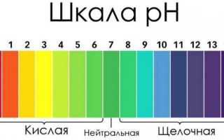 Вишня: описание 20 лучших сортов, характеристики и отзывы садоводов