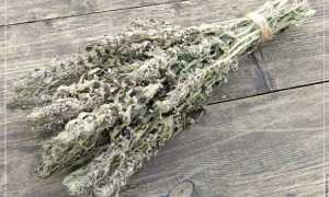 Пустырник форте