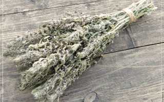 Пустырник форте