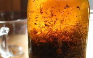 Володушка золотистая: заготовка, польза и вред, народное лечение, противопоказания