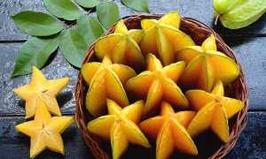 Польза карамболы: состав, калорийность, показания и противопоказания к применению (100 фото + видео)