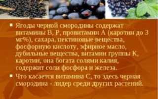 Красная смородина