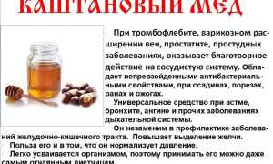 Какой должен быть каштановый мед: как определить качество