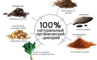 Цикорий