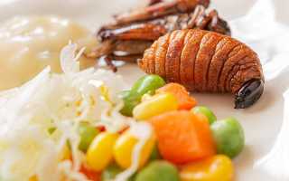 Майский жук: каким растениям угрожает и как бороться с его личинками