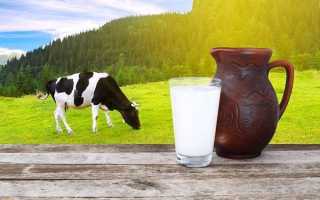 Чем полезно молоко: из чего оно состоит и для кого может быть вредно