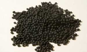 Жевательная резинка: польза или вред?