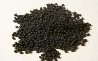 Жевательная резинка: польза или вред?