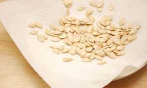 Как сушить тыквенные семечки в домашних условиях