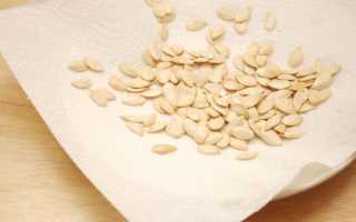 Как сушить тыквенные семечки в домашних условиях