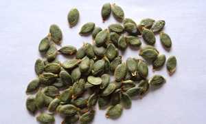 Семена тыквы