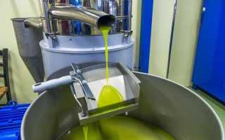 Оливковое масло: польза для здоровья и как выбрать лучшее