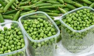 Консервированный стручковый горошек: лучшие рецепты