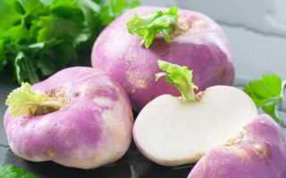 Как выбрать лучший сорт свёклы с большой урожайностью и минимум хлопот на грядках?