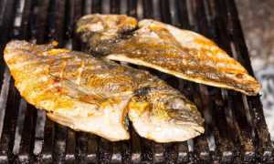 Как правильно приготовить рыбу на костре в походе?