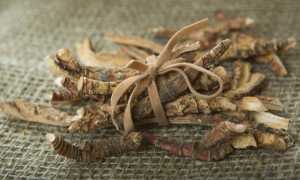 Аира корневища