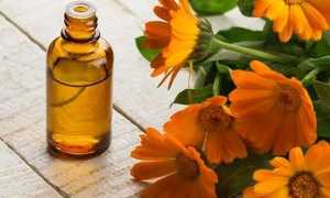 Календула лекарственная