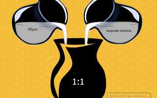 Как правильно сделать брынзу в домашних условиях