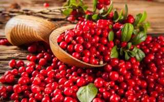 Ягода калина