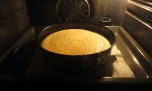 Кисломолочная пилюля