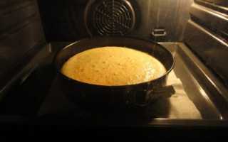 Кисломолочная пилюля