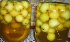 Сколько минут варить компот из свежих яблок
