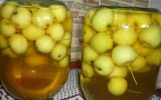 Сколько минут варить компот из свежих яблок