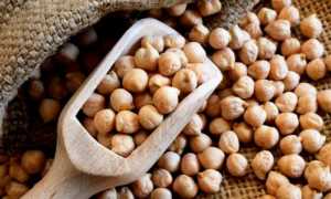 Вся сила живой природы в маленьких горошинах. чем полезен пророщенный нут