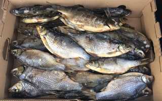 Полезна ли вяленая или сушеная рыба для здоровья человека