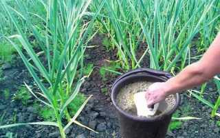 Правильная подготовка и обработка чеснока перед посадкой под зиму: подходящие средства для протравливания (марганцовка, фитоспорин, максим)