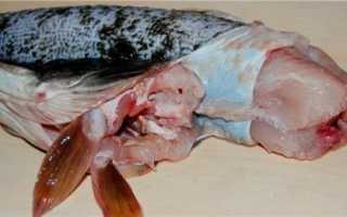 Как засолить форель: 7 вкусных и быстрых рецептов в домашних условиях