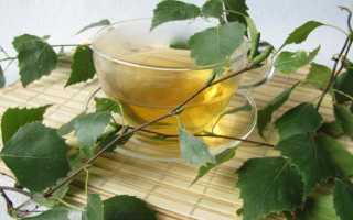 Берёза: лечебные свойства, рецепты, применение