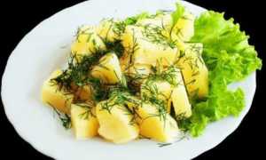 Гарнир к рыбным котлетам: варианты и рецепты приготовления