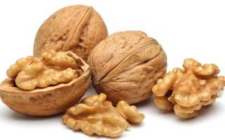 Питание при повышенном уровне холестерина