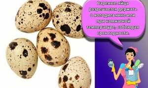 Правила хранения перепелиных яиц