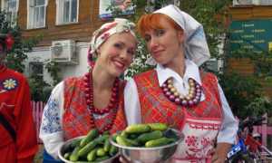 Происхождение огурцов