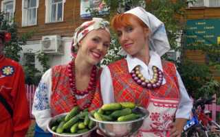 Происхождение огурцов