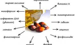 В чем вред и польза пальмового масла, и в каких продуктах оно содержится?