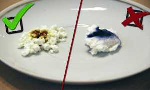 Чем полезен творог: полный обзор его состава, видов и возможного вреда