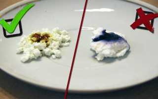 Чем полезен творог: полный обзор его состава, видов и возможного вреда