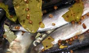 Малосольная селёдка (сельдь)