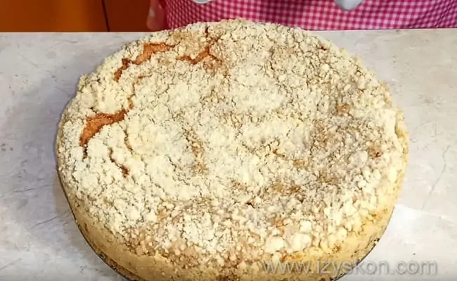 Готовим королевскую ватрушку с творогом в духовке по детальному рецепту