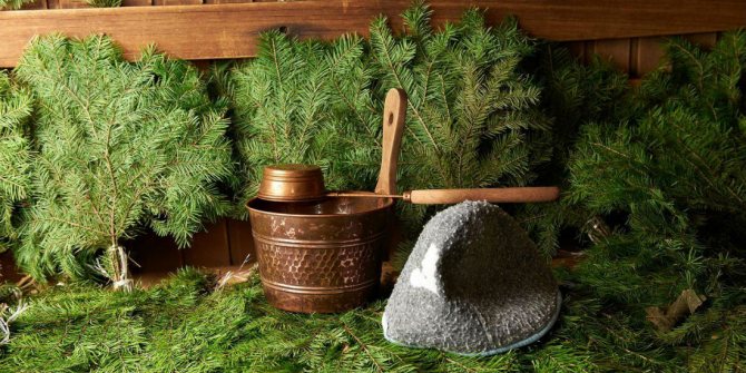 Веник из можжевельника для бани: польза можжевелового веника, как правильно заготовить и запарить